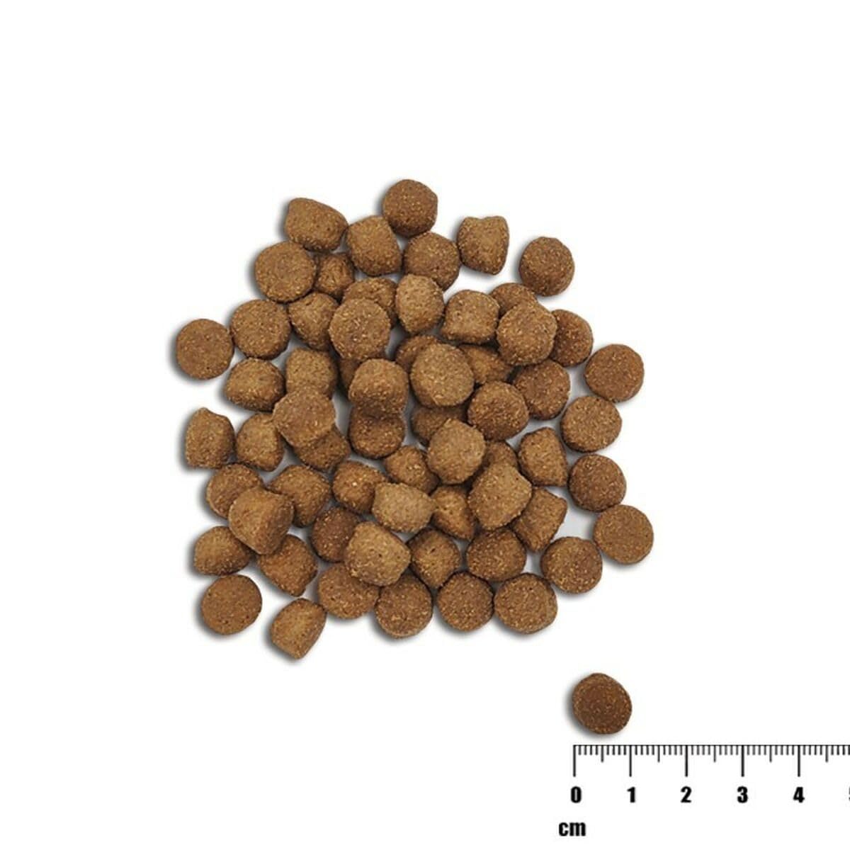 HEALTHY GRAIN PUPPY SALMON - sucha karma z łososiem dla szczeniąt 10kg