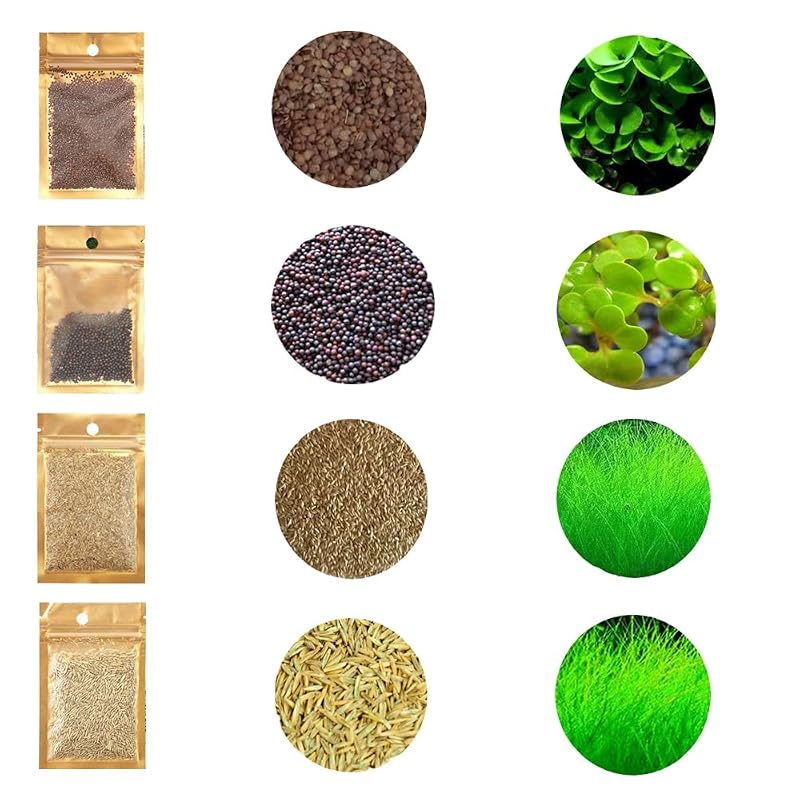 Sementes para Plantas Aquáticas de Aquário, 4 Variedades Generic, Pacote com 4