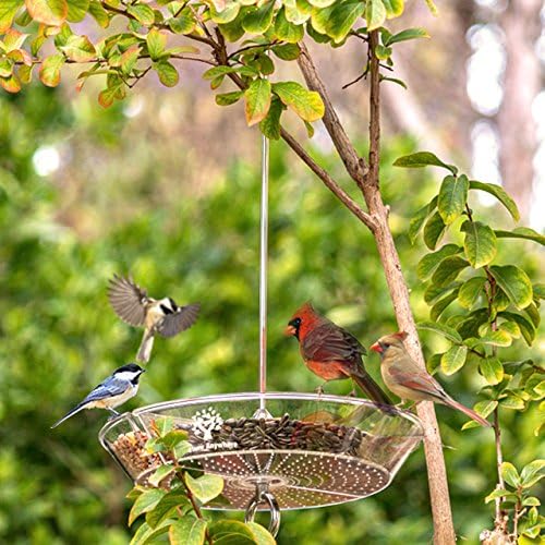 Large Hanging Bird Feeder 2022 Gift Edition with Unique Removable Bird Feeder Tray, Beautiful Packaging