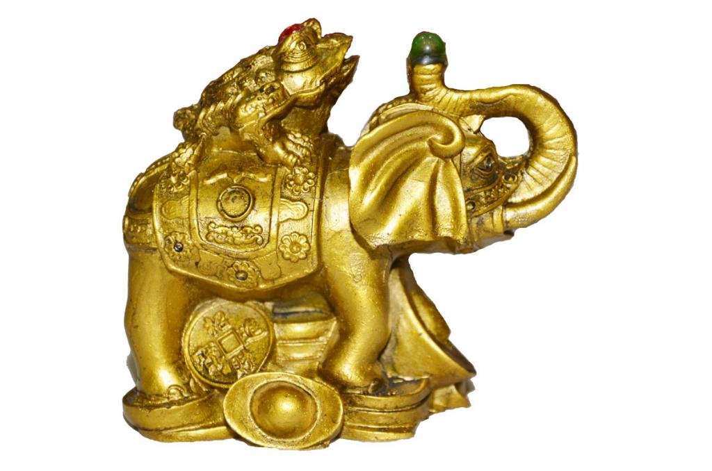 Feng Shui Money Frog on Elephant-picture-16