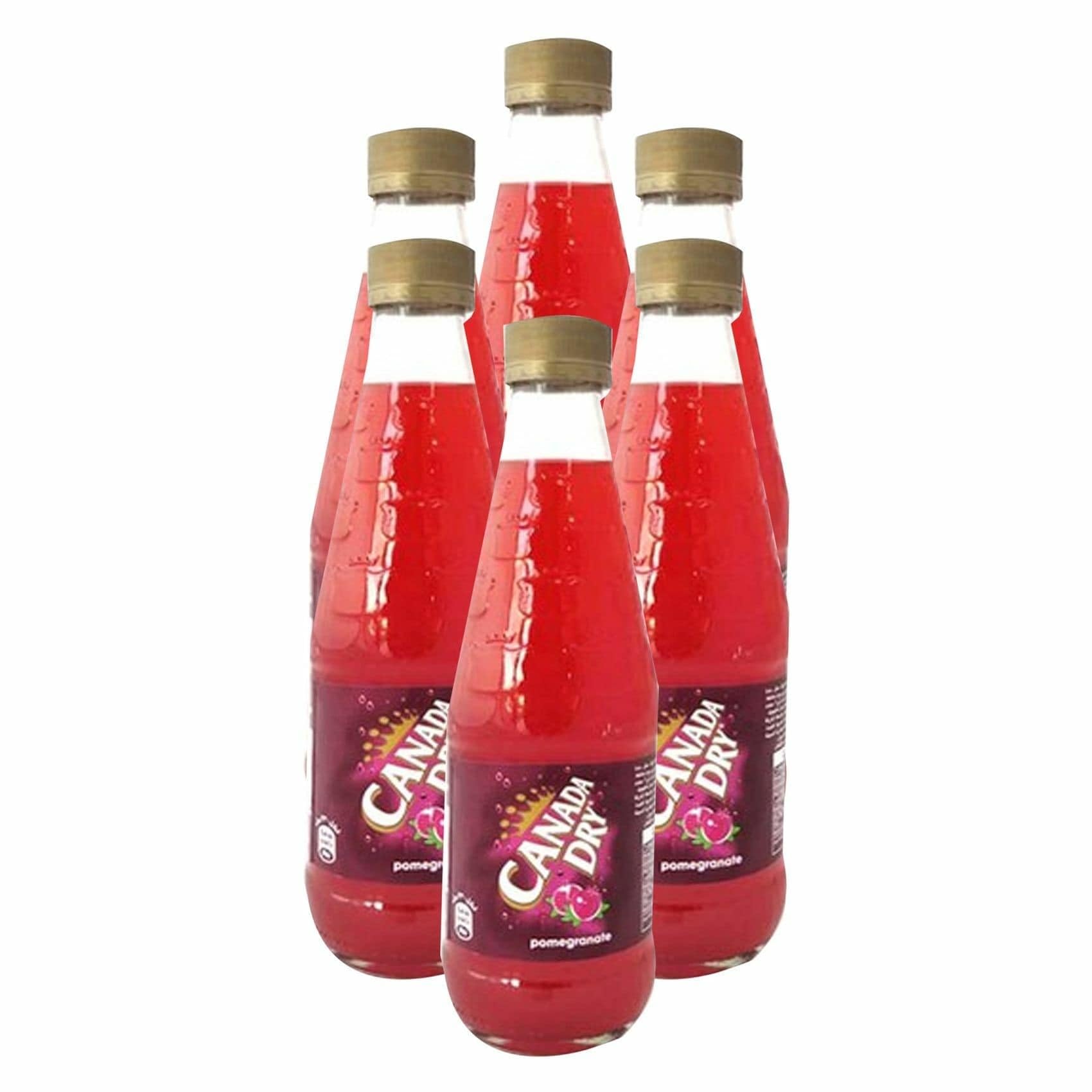 Canada Dry Pomegranate Non-Returnable Bottle 6-Pack 330 ml