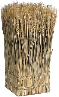 SilksAreForever 16.9