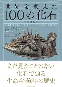 61IHk-o7XQL._AC_UF350,