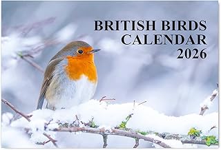 British Birds Calendar 2026 A4 12 Month to View Wall Calendar 2026 Perfect for Schools, Offices, and Homes Papa Prints