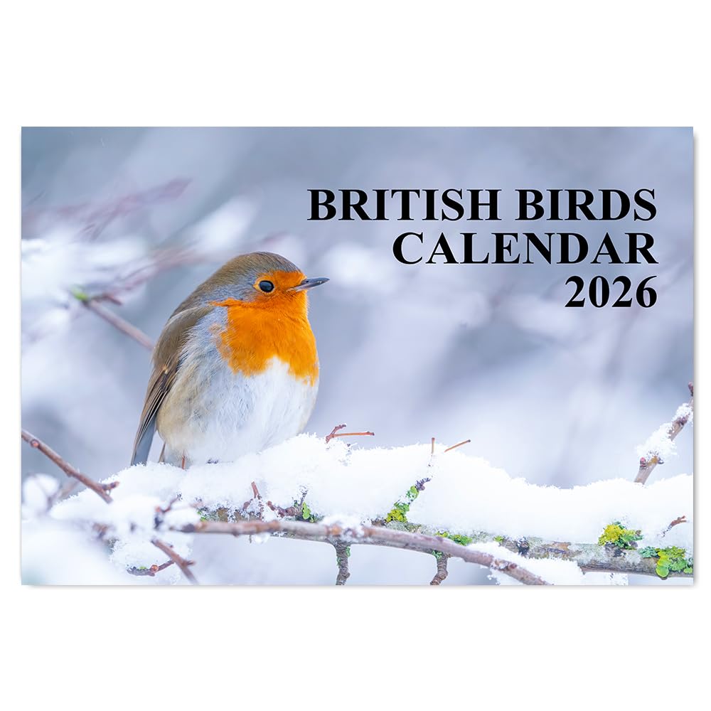 British Birds Calendar 2026 A4 12 Month to View Wall Calendar 2026 Perfect for Schools, Offices, and Homes Papa Prints