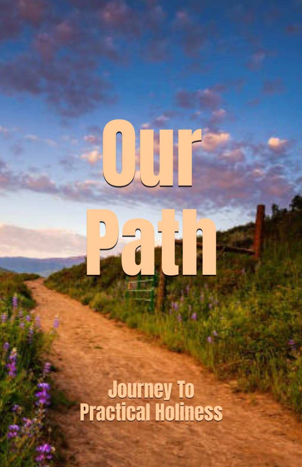 Our Path: Journey To Practical Holiness
