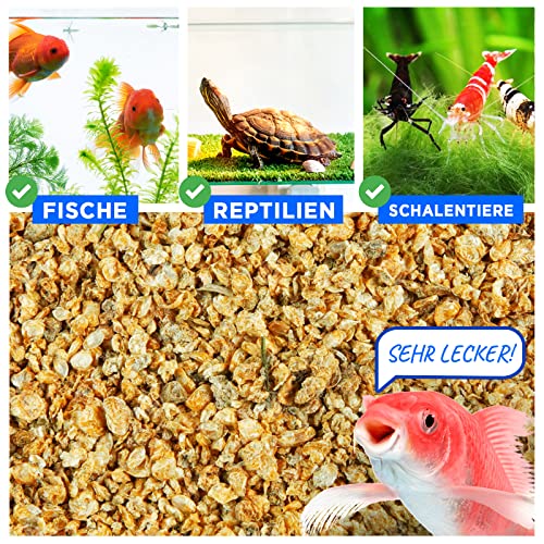 Wasserflöhe getrocknet, 625ml (100g) Fischfutter Aquarium, Daphnia, Zierfischfutter Aquarium, geprüfte Qualität von deutschem Anbieter EWL – Bild 5