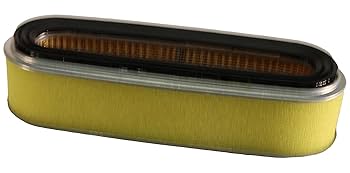 Amazon.com: Honda OEM 17210-ZE7-305 17210-ZE7-013 Air/C (Du