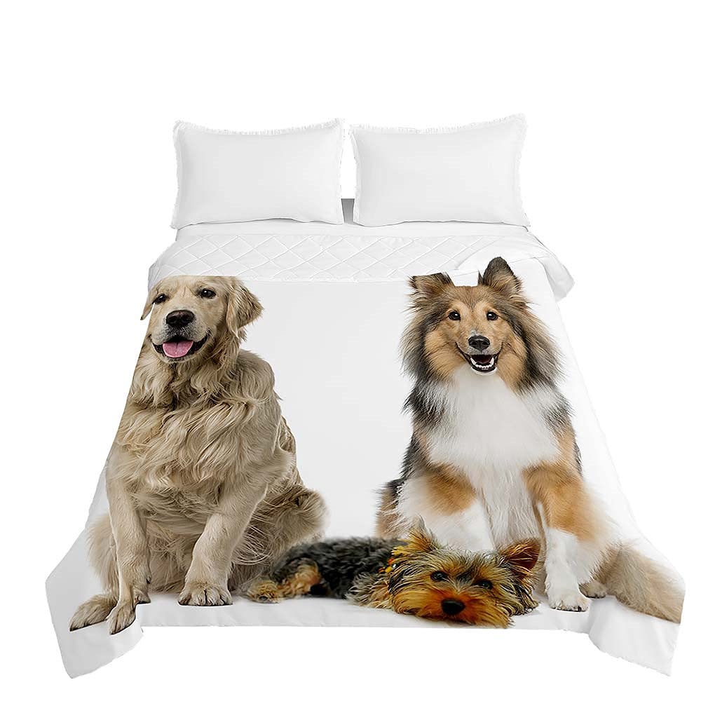 Surwin Border Collie Embossed Quilted Bedspreads Single Double Super King Size, Bedspread Quilt Sofa Throws Blanket Lightweight Coverlet Microfiber Comforter Bed Sheet - 3D Dog Print (,130 * 150Cm)