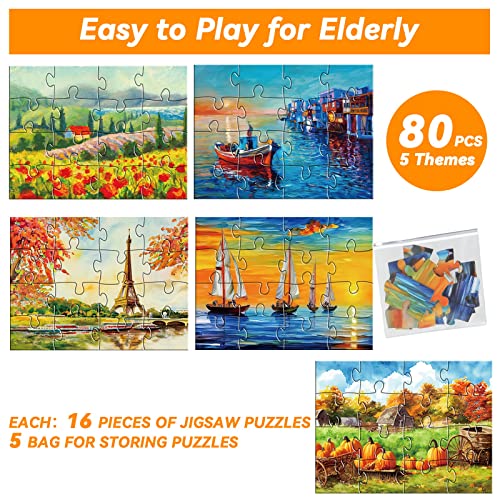 5 Packs 16 Piece Large Jigsaw Puzzles for Elderly Dementia Alzheimer's Products Activities, Alzheimer's Puzzles Cognitive Games for Adults Elderly Seniors with 5 Storage Bags - Image 4
