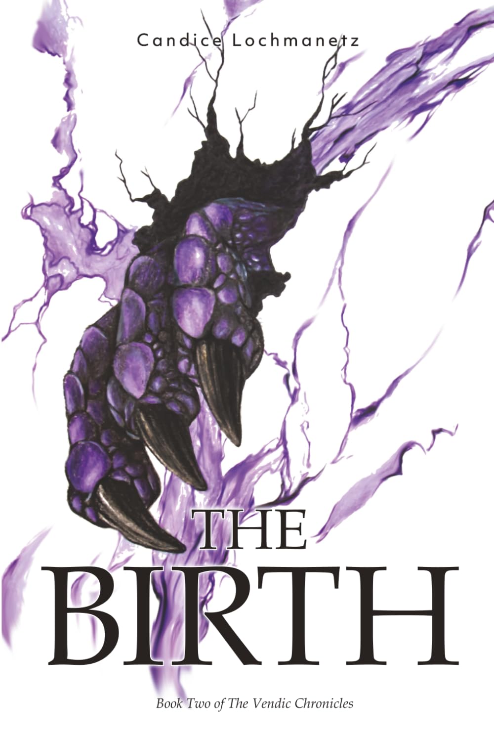 The Birth: Book Two of The Vendic Chronicles: 2