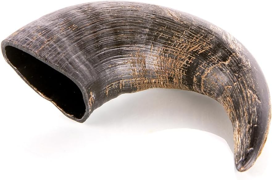 Animal House Corna di Bufalo per Cani, Masticativo Naturale al 100%, Rafforza Igiene Orale, Resistenti e Duraturi, Disponibili in Tutte Le Taglie, Cruelty Free (1, M)