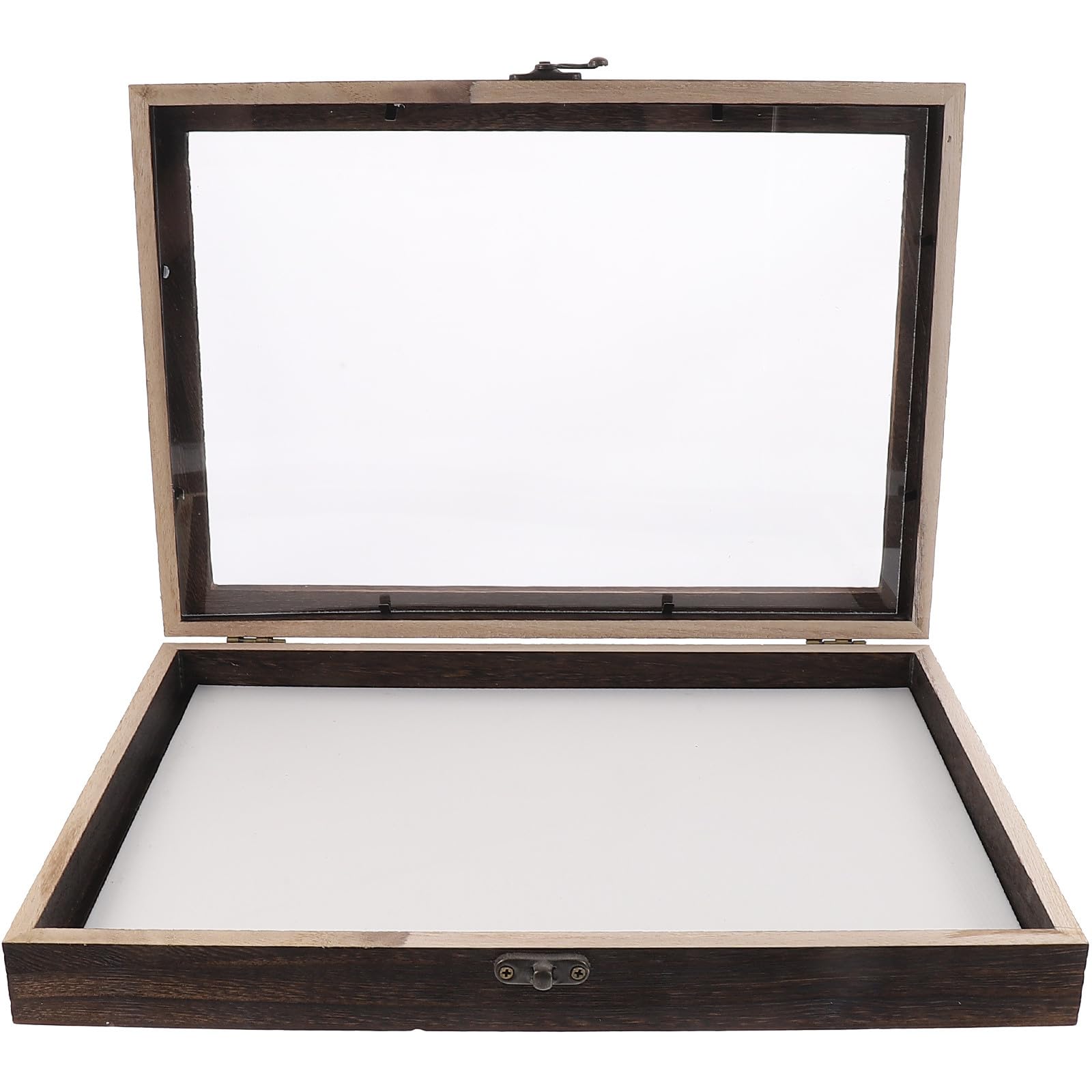 Caja de Muestras de Insectos de Madera de Pino 31X22X4 CM con Tapete y Cerradura Vitrina para Exhibición y Almacenamiento de Especímenes para Entomología Educativa