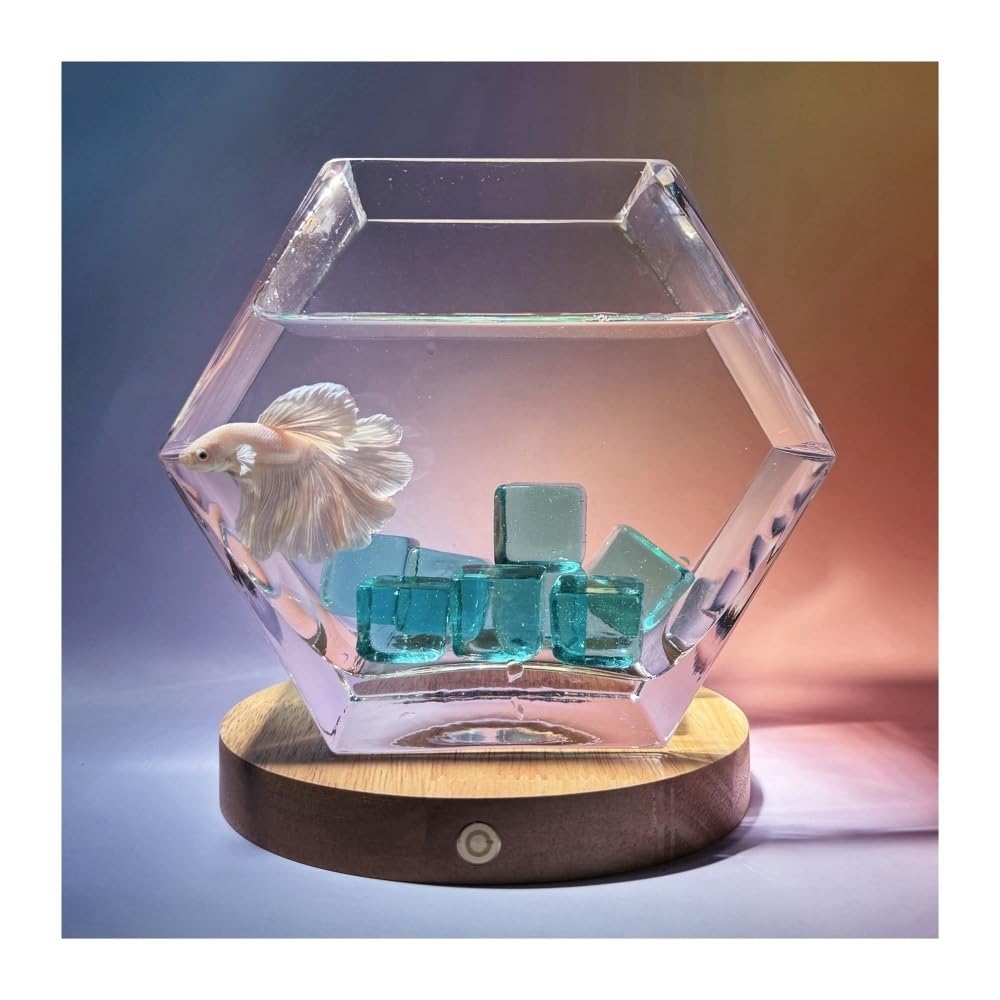 Aquarium Kampffisch-Aquarium mit Sockel, fünfeckiges, transparentes Glasbecken, kleines Aquarium, dekoratives Element for Wohnzimmer oder Schreibtisch