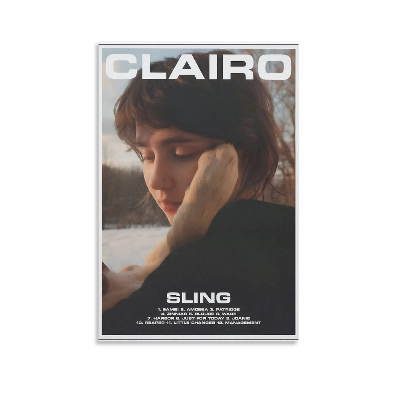 Amazon.com: ARTSIE Sling by Clairo Canvas Poster Wall Decorative