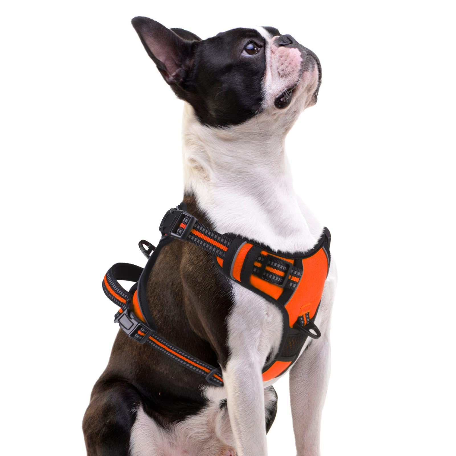 PUPTECK No Pull Dog Harness in Orange