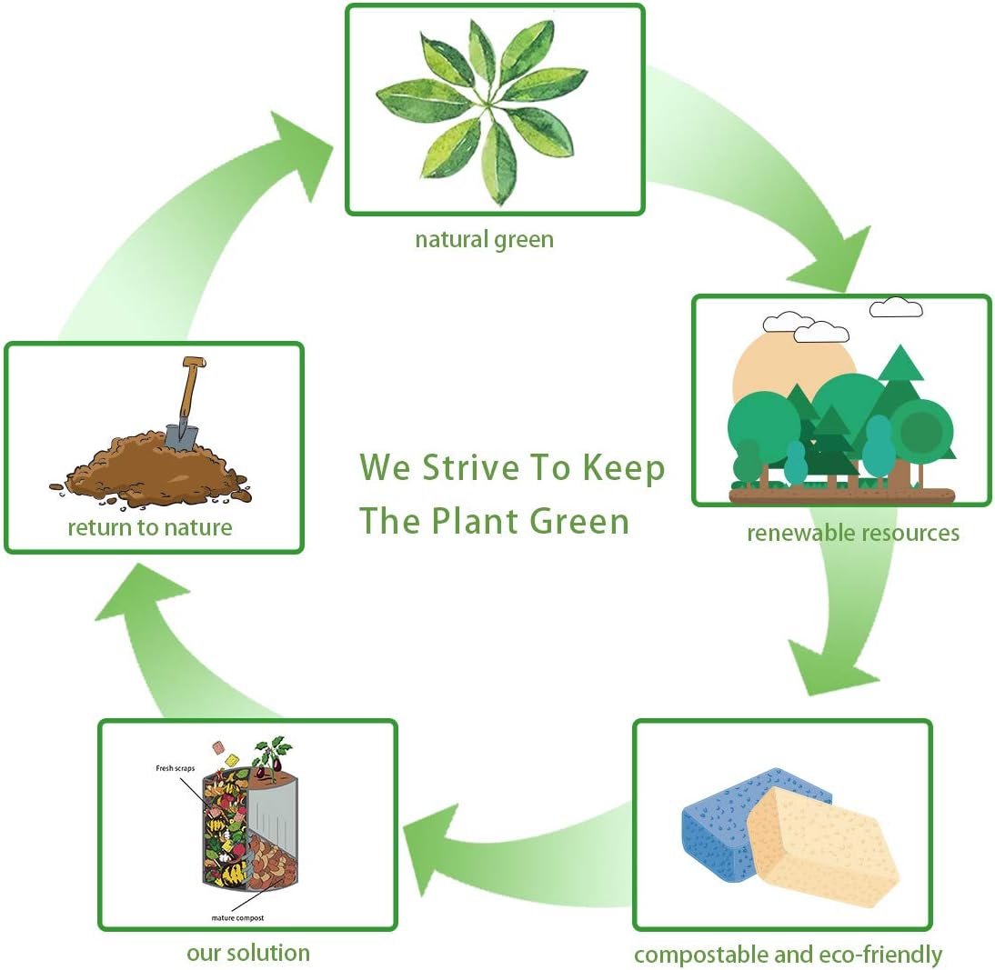 Lar Natural Cellulose Cleaning Spons – Biodegradable, Absorbent,