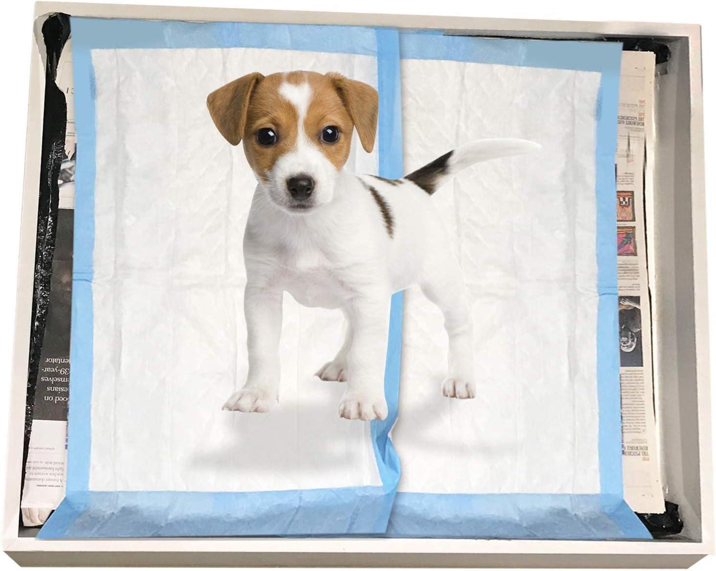 Platinum Care Pads Disposable Pet Training Puppy Pads Size 17x24 Pack of 100
