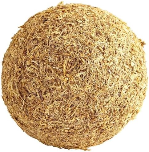 Cyan Design 07296 St. Augustine Filler, Large