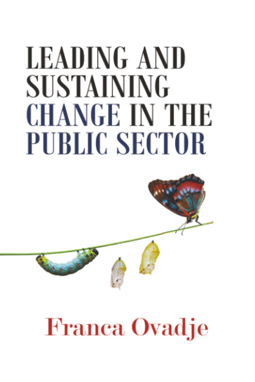 Leading and Sustaining Change in the Public Sector