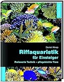 meerwasseraquarium technikbecken einrichten  Riffaquaristik für Einsteiger: Preiswerte Technik - pflegeleichte Tiere