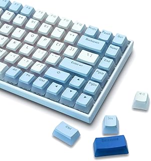 XVX PBT Keycaps - Pudding Keycaps, 165 Key Set Suitable for 61/64/68/84/87/96/104/108 Mechanical Gaming Keyboard, OEM Profile Custom Keycap (White Keycaps)