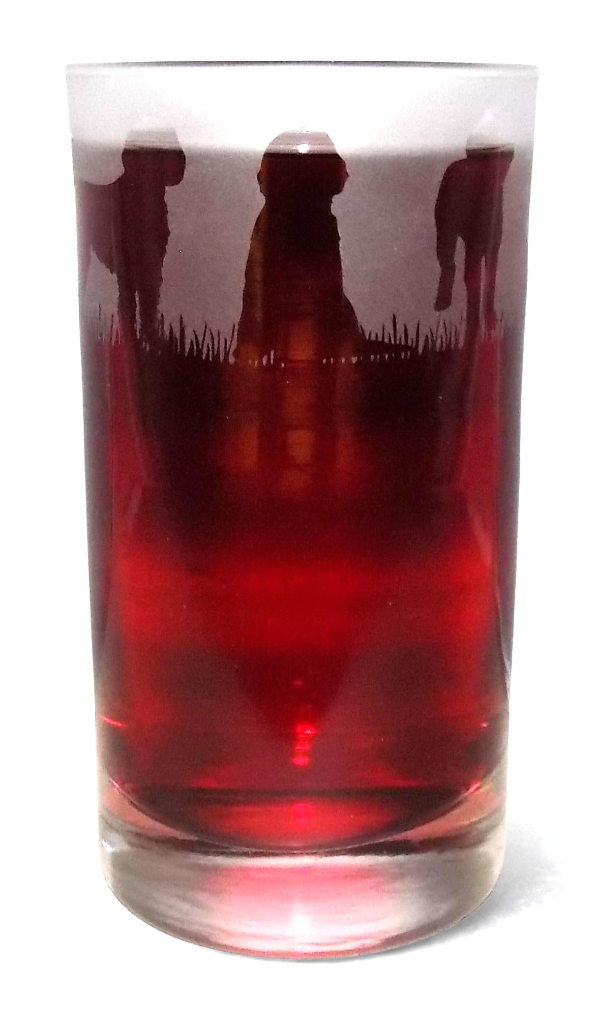 Labradoodle Hand Etched Highball Tumbler — image 1