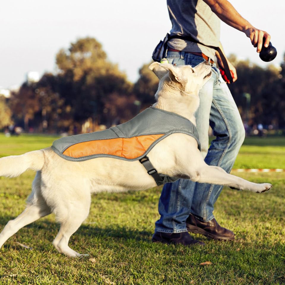KühlWeste für Hunde - reflektierend Kühlgeschirr für kleine mittlere und große Hunde für Aktivitäten draußen, Wandern, Training