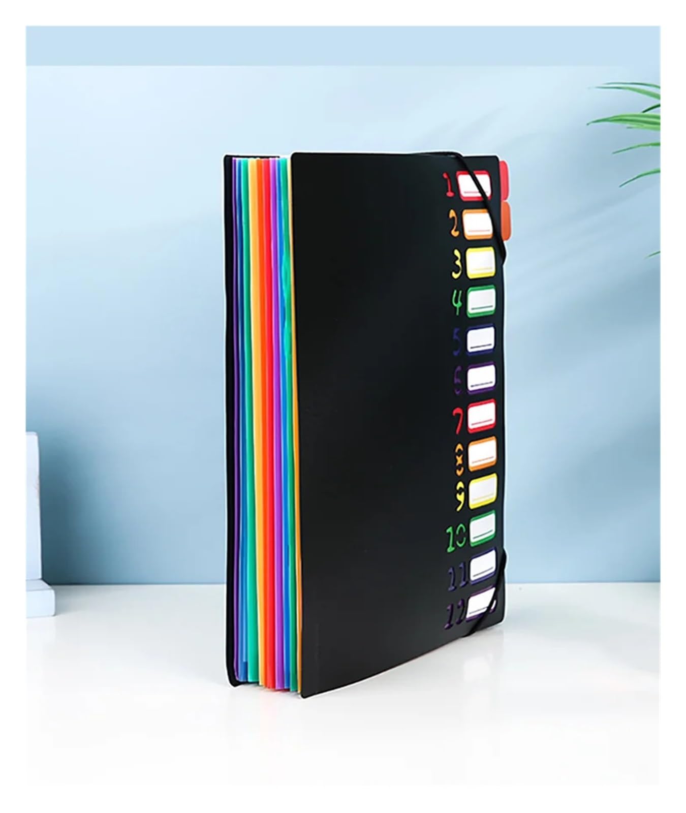 Organizer per documenti con elastico Cartella portadocumenti A4 con cordino Arcobaleno | Indice di classificazione di identificazione con 12 divisori Documento di archiviazione del prodotto( )