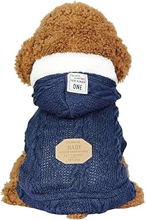 Amazon Co Jp 人気のトイプードル 服ランキング