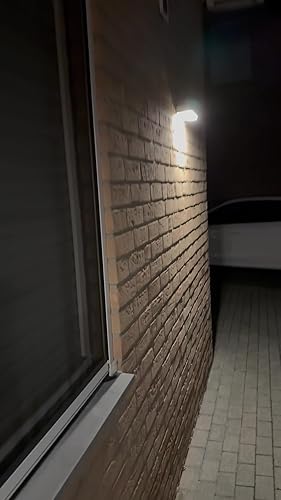 Steinel LED-buitenlamp op zonne-energie XSolar SOL-O S, solarlamp, antraciet, met 360° | 6 m bewegingsmelder, schemeringssensor, softlight start, nachtlampje Steinel LED-buitenlamp op zonne-energie XSolar SOL-O S, solarlamp, antraciet, met 360° | 6 m bewegingsmelder, schemeringssensor, softlight start, nachtlampje