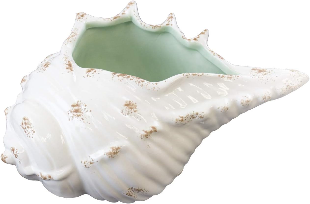 Beachcombers Conch Shell Ocean Teal Ceramic Decorative Figurine, 11 x 6 x 4.5 inch, White