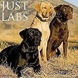 Just Labs 2018 Calendar