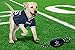 NFL DALLAS COWBOYS Football Dog Toy, Tough Nylon Quality Materials with Strong Pull Ropes & inner SQUEAKER in NFL Team Color