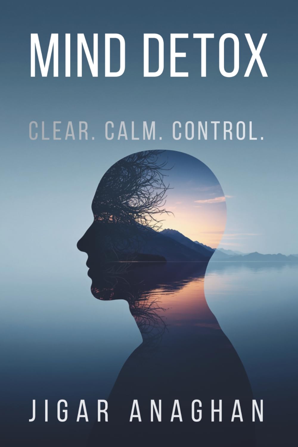 MIND DETOX: CLEAR. CALM. CONTROL. (THE DISTRACTED MIND RESET SERIES)