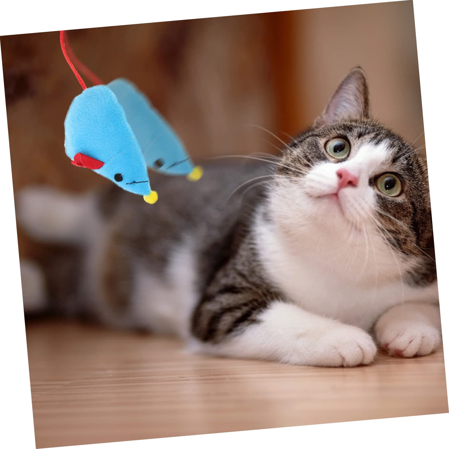 DOITOOL 5ensembles Tunnel De Jeu Interactif pour Chat avec Design Souris Jouet Exploration pour Chaton Et Chat pour Divertissement