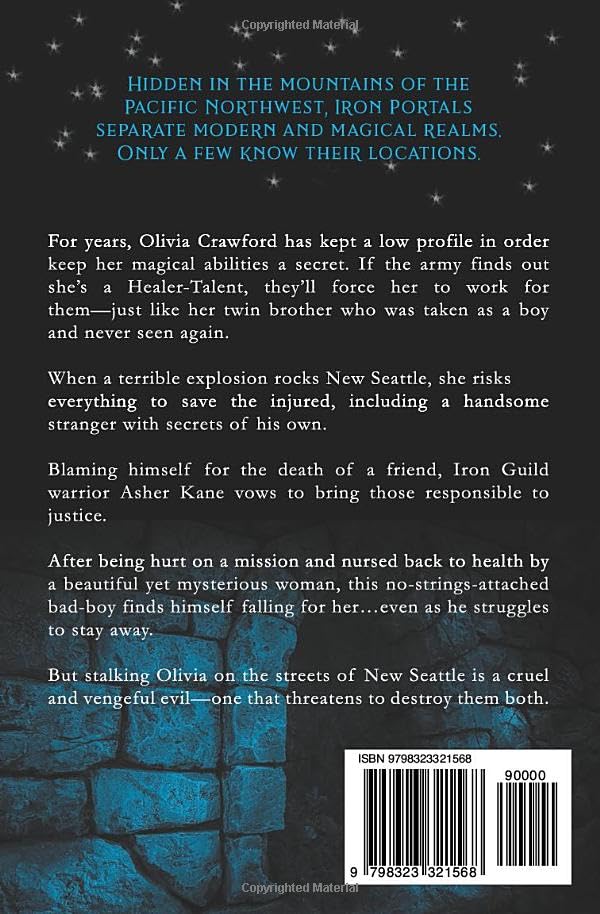 Midnight Rogue (Iron Portal Series) - Image 2