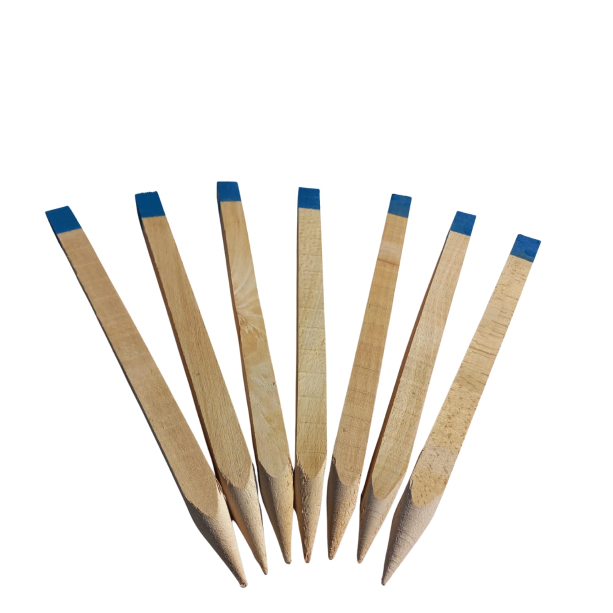 100 Stück Holzpfähle aus Buche Blau Lackierter Spitze Quadratisch Längen 40 cm Markierungspfosten Holz Robuste Holzpflöcke Pflanzstäbe Zaunpfosten Vermessungspfosten 25 mm x 25 mm