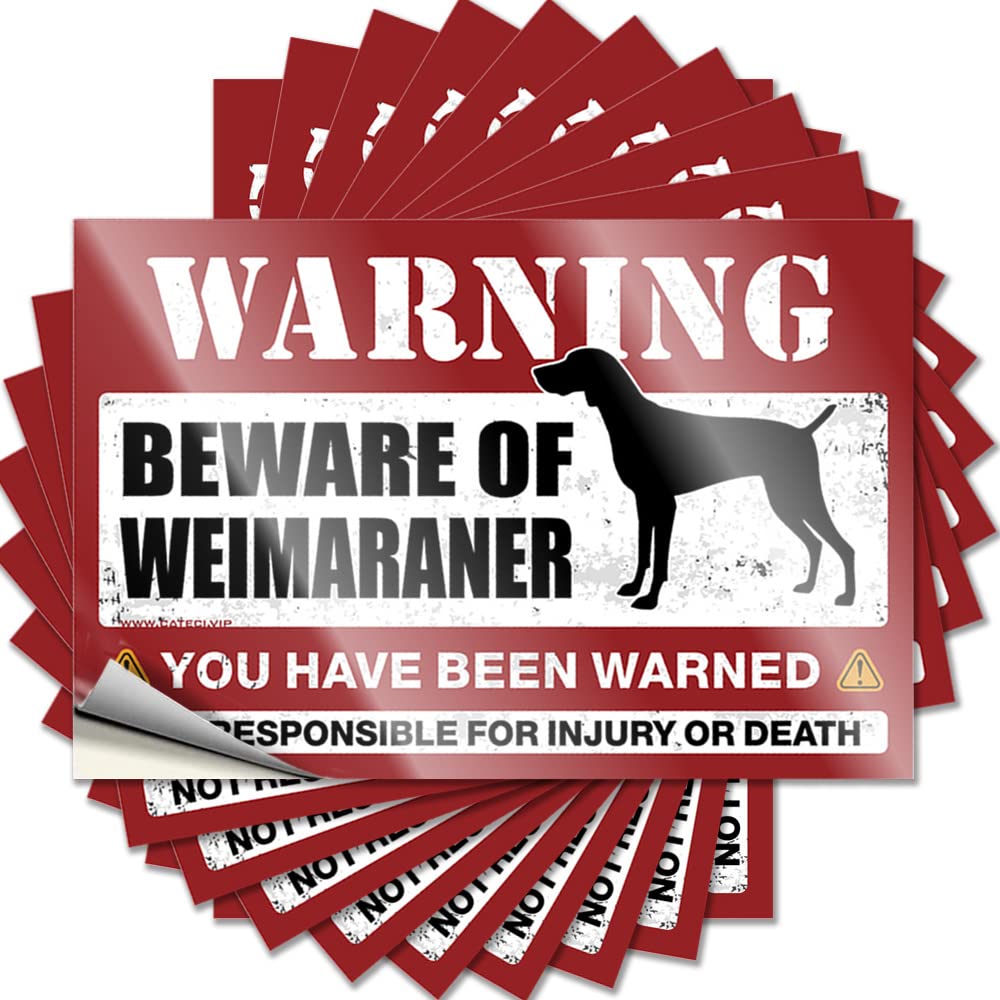 Tool Box Stickers Beware of Weimaraner Funny Sticker 10 Pcs Car Stickers and Decals Stickers for Car(8X12CM)