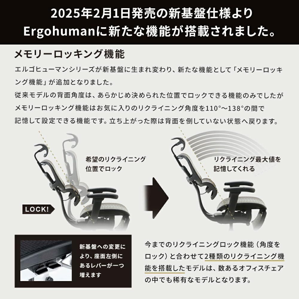 Amazon.co.jp: ［組立不要］エルゴヒューマン(Ergohuman) プロ2 【正規