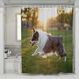 Natural Shower Curtain Bathroom Curtain Sets Australian Shepherd Running On Grass with Natural Lighting Home Bathroom Decor Waterproof Fabric Curtain with Hooks 72x72 Inch