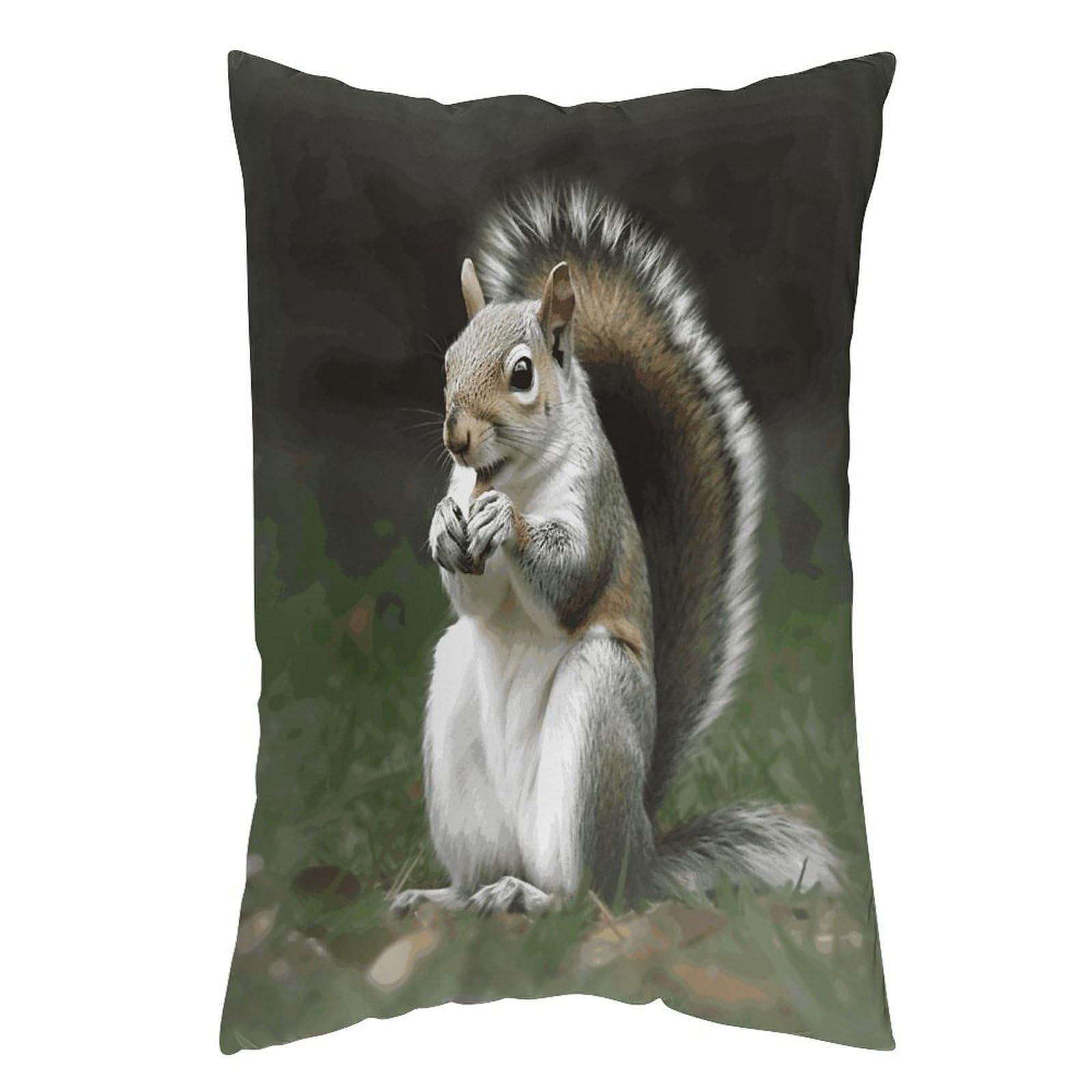 LDGSUPH Squirrel Pillow Cases Soft Pillowcase with Invisible Zipper Wrinkle Resistant Pillow Covers Breathable Removable Pillow Protector for Bed Sofa Car 12 "x20