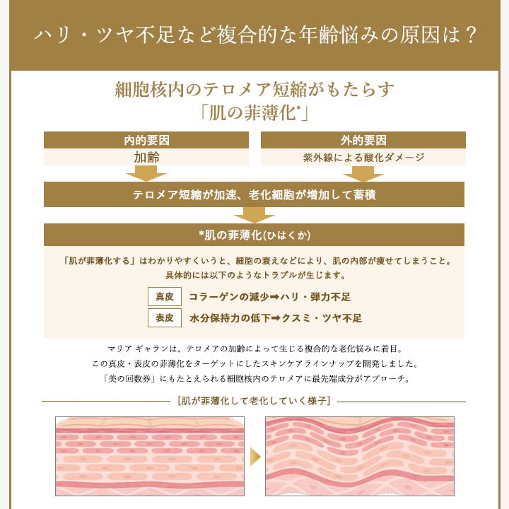 Amazon | MARIA GALLAND MILLE マリアギャラン トーニングローション