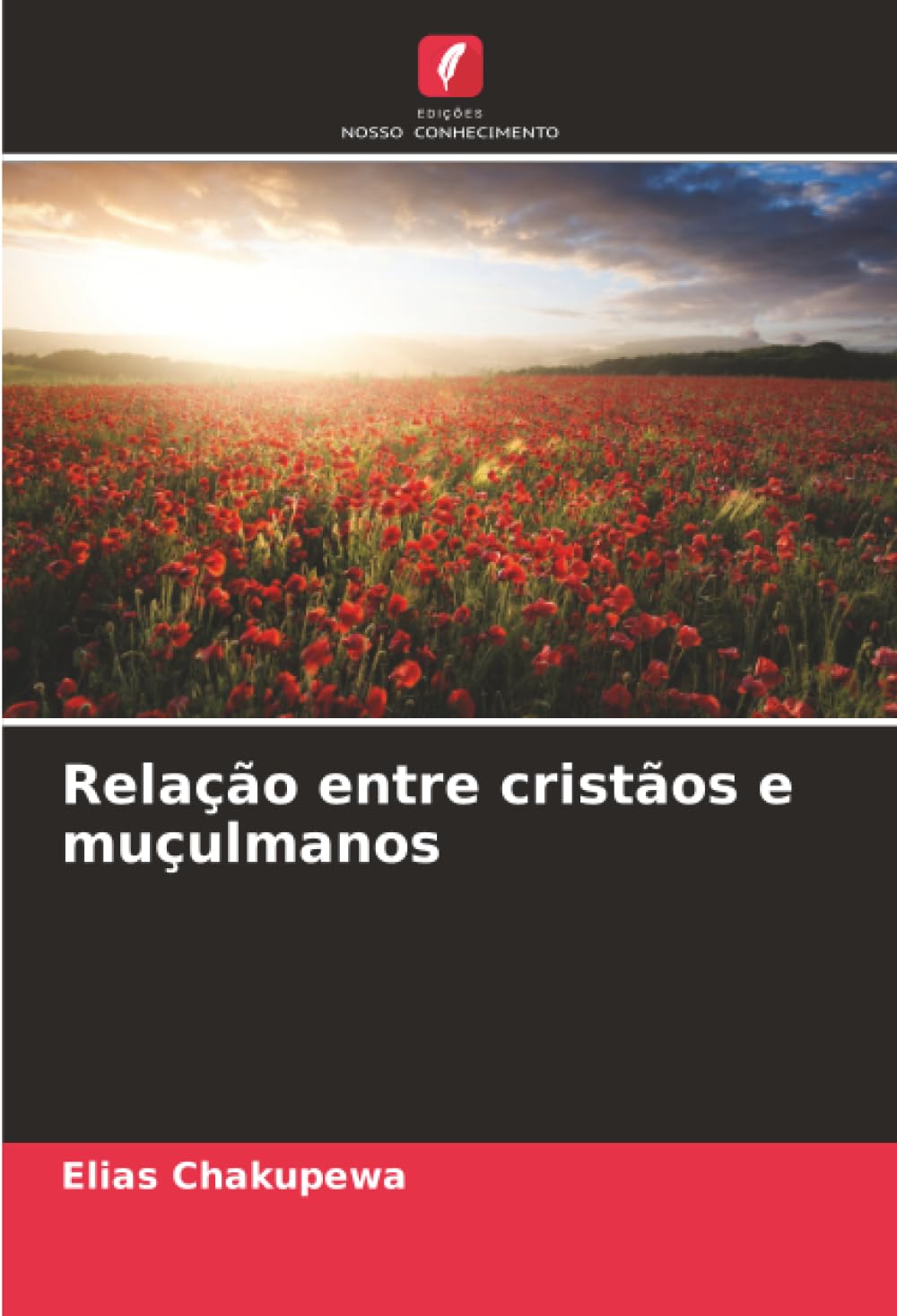 Relação entre cristãos e muçulmanos