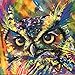 Painting Wildlife: Acrylic & Mixed Media