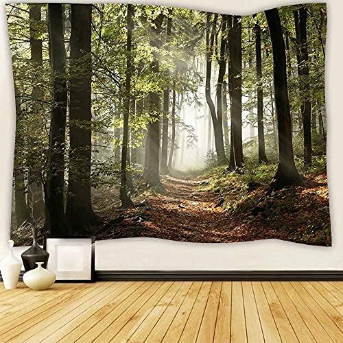 DZGlobal Forest Pathway in the Misty Mountain Tapestry Wall Hanging Art Nature Landscape Tapestries 80W X 60L Inch Home Decor for Living Room Bedroom Kitchen Dorm Green