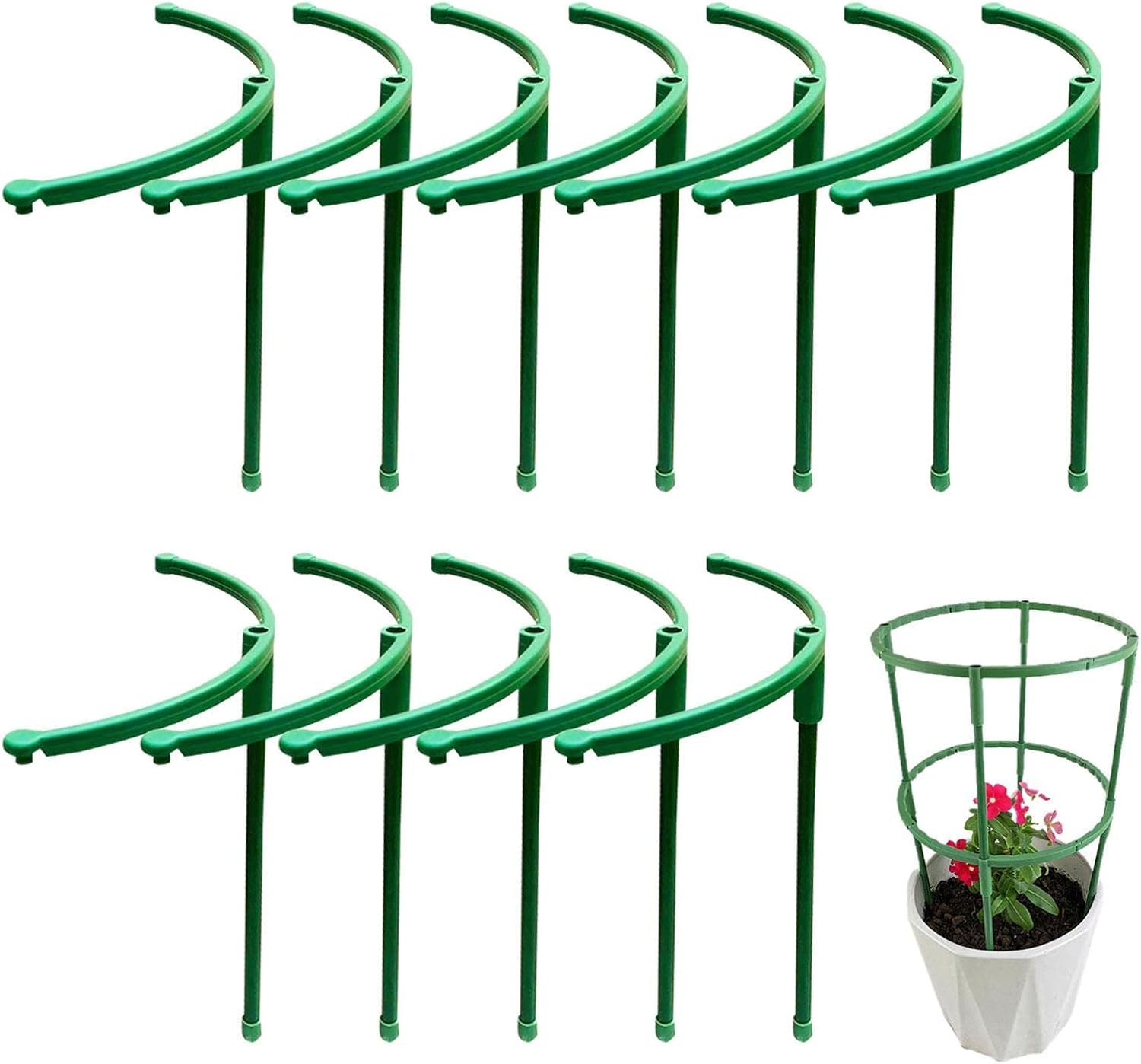 Pflanzenpfähle und Stützen Halbrunde Stütze mit grünen Stielen für