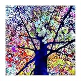 Samen-Paket: Regenbogen Eucalyptus Deglupta Samen, Rare Bonsai Seed Samen 100pcs / Bag Xdd