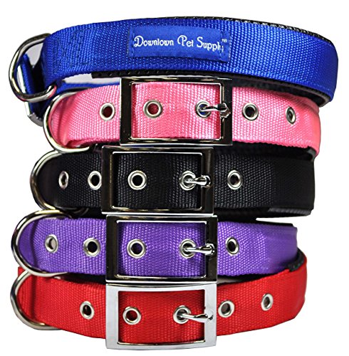 Downtown Pet Supply Deluxe réglable épais Confort rembourré Collier de chien Cover