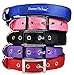 Downtown Pet Supply Deluxe Padded Adjustable Dog Collar - Metal Buckle & D-Ring - Machine Washable & Water Resistant - Blue - S
